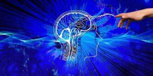 بلاگ 93 معرفی برنامه های تقویت مغز